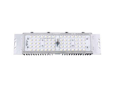 LED Module